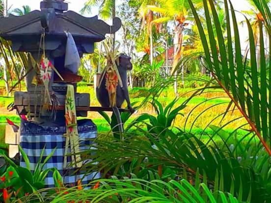 Amaya Cottage Ubud By Shm Экстерьер фото